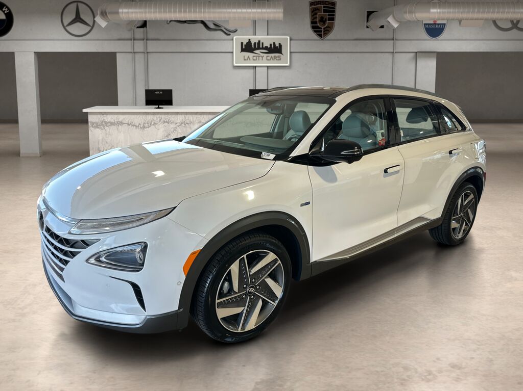 2019 HYUNDAI Nexo
