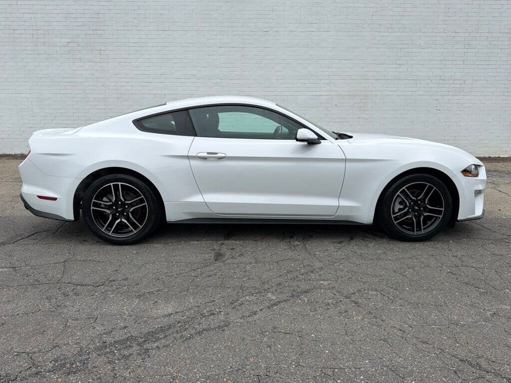 2019 FORD Mustang