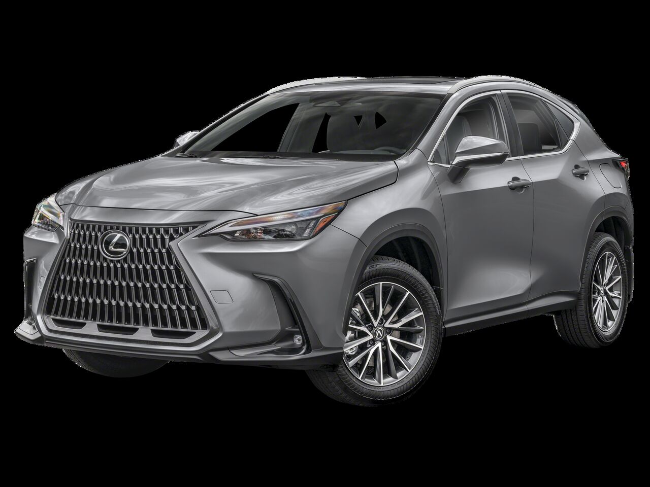2024 LEXUS NX