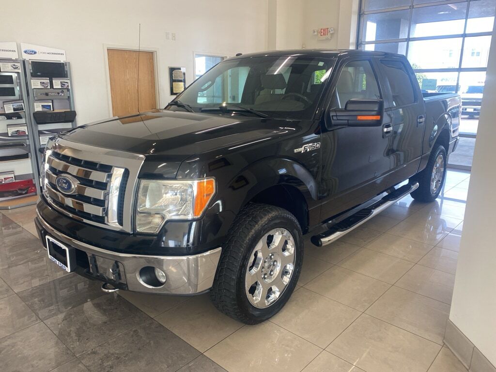 2009 FORD F-150