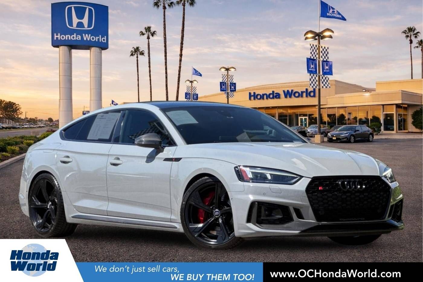 2019 AUDI RS5