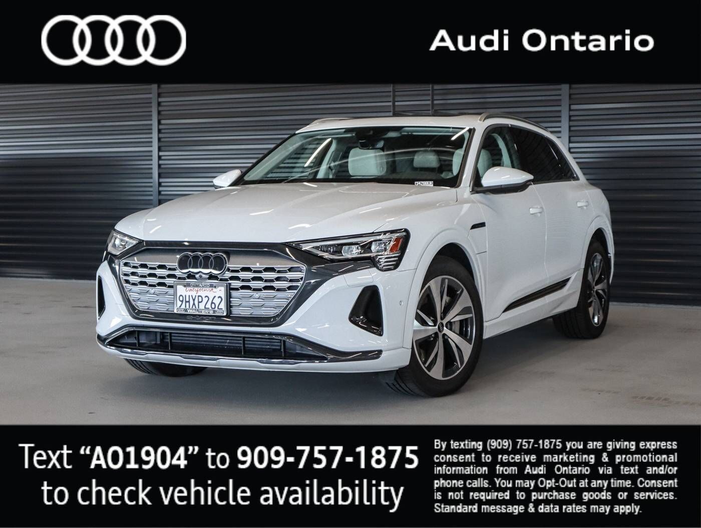 2024 AUDI Q8