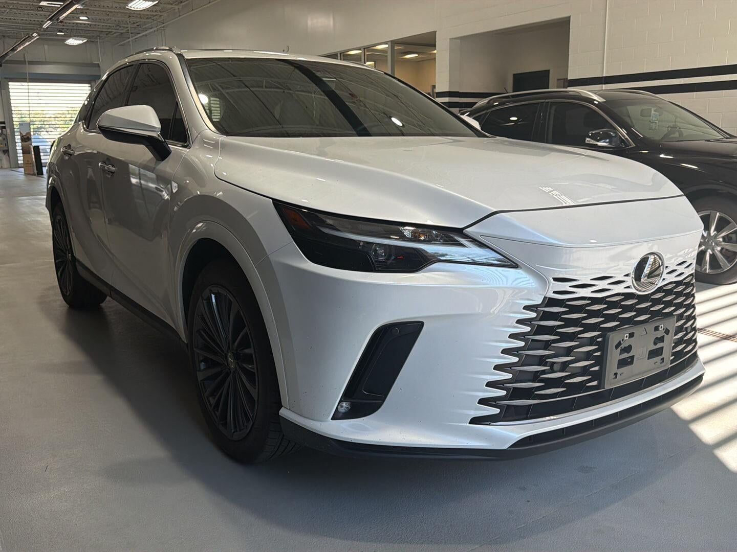 2024 LEXUS RX