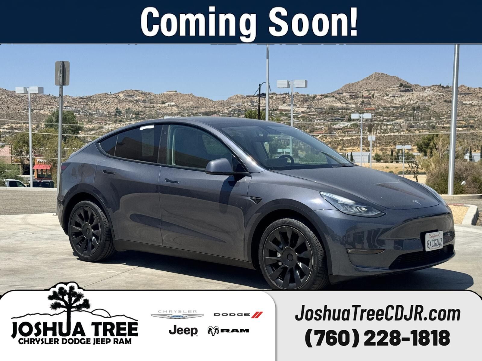 2021 TESLA Model Y