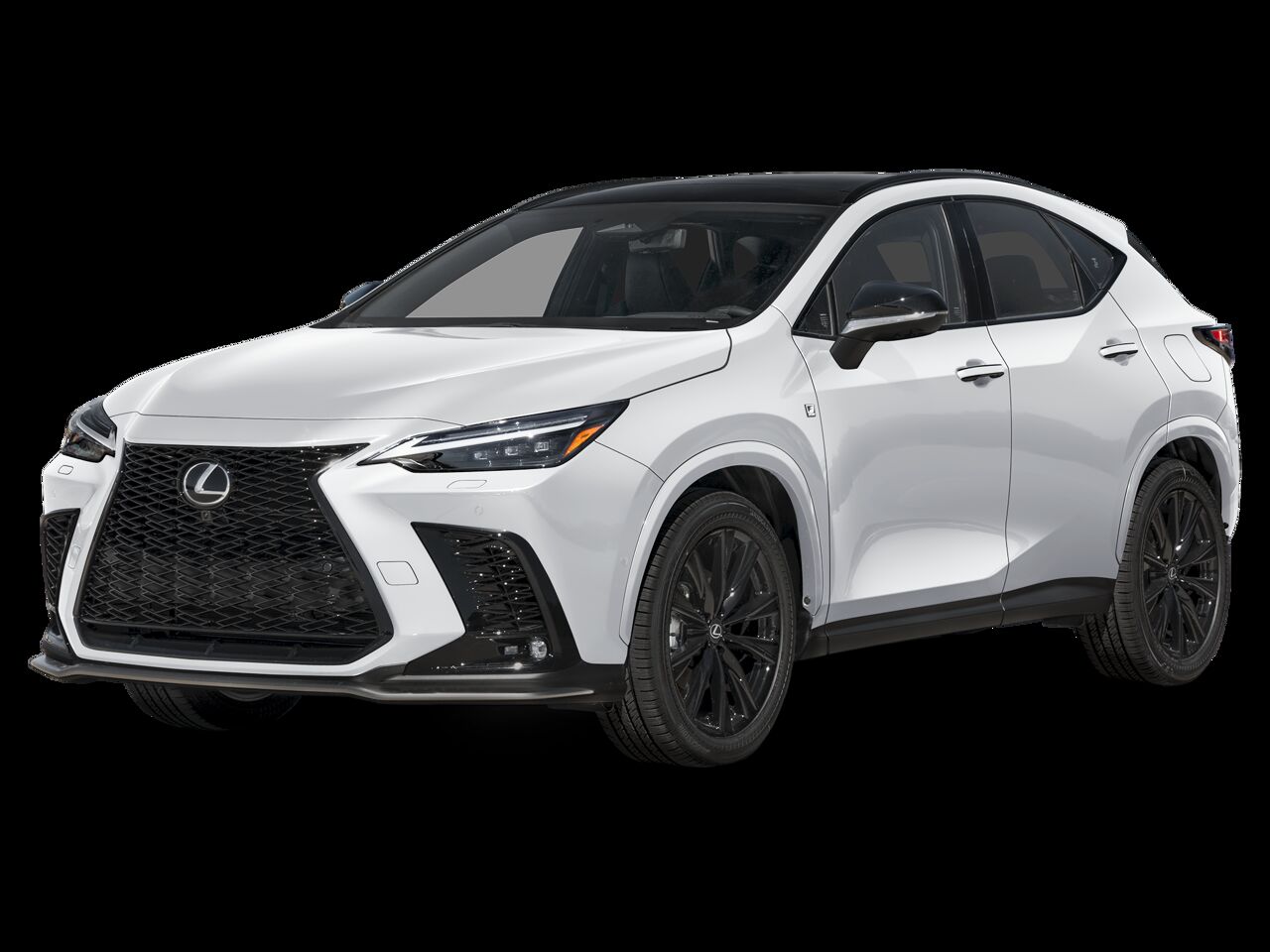 2025 LEXUS NX