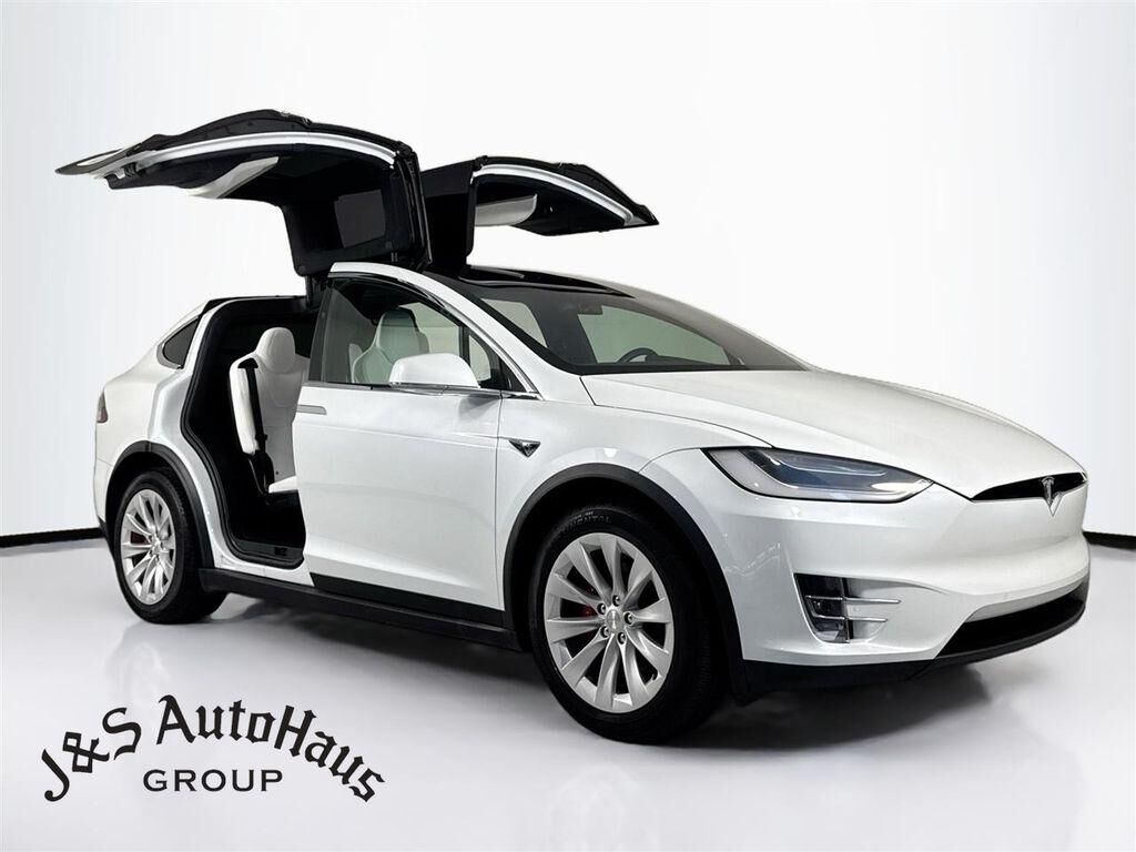 2019 TESLA Model X