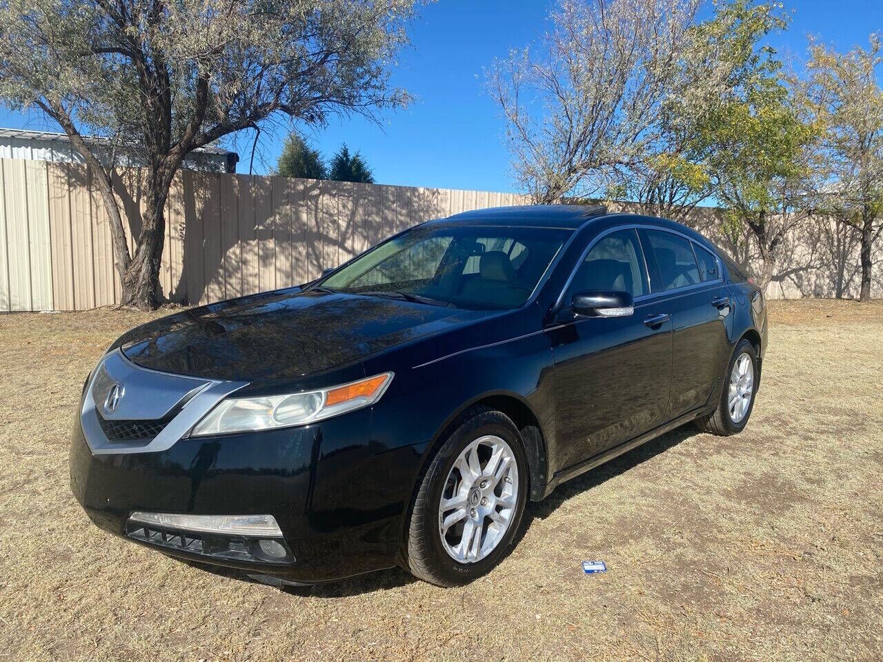 2010 ACURA TL