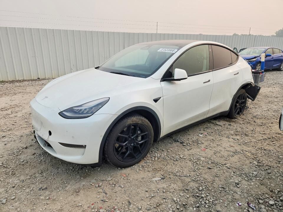 2021 TESLA Model Y
