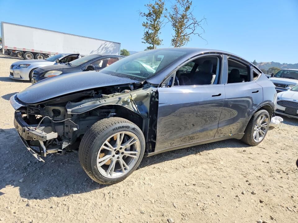 2020 TESLA Model Y