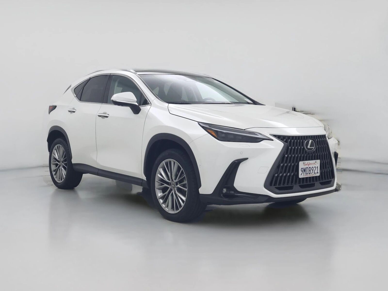 2024 LEXUS NX