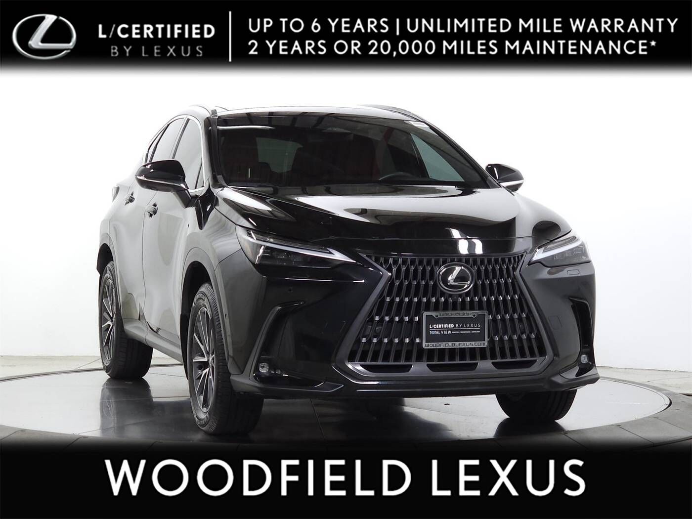 2024 LEXUS NX