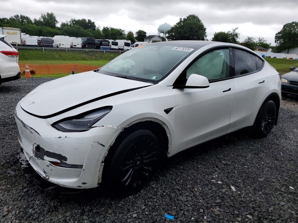 2023 TESLA Model Y