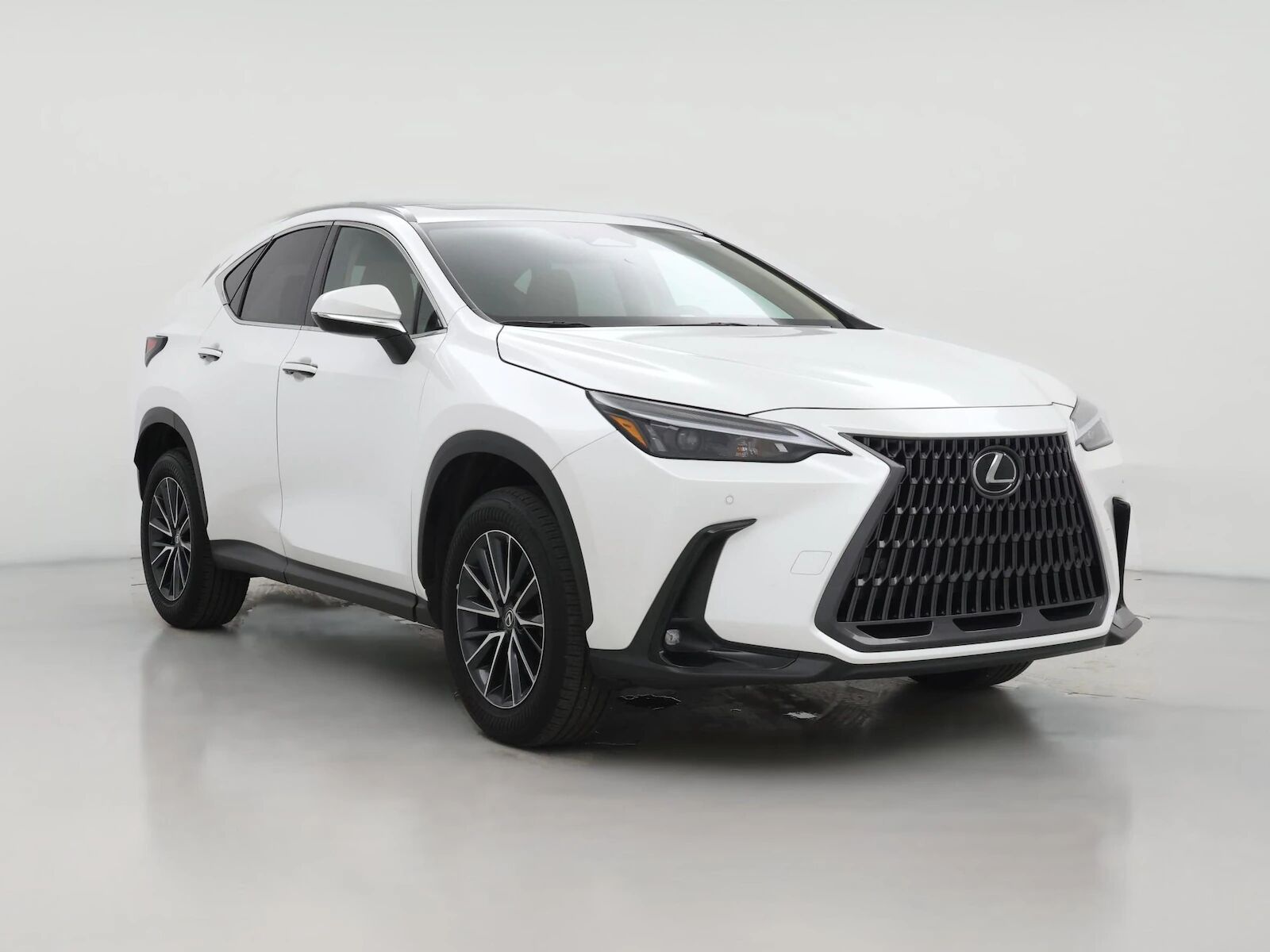 2025 LEXUS NX