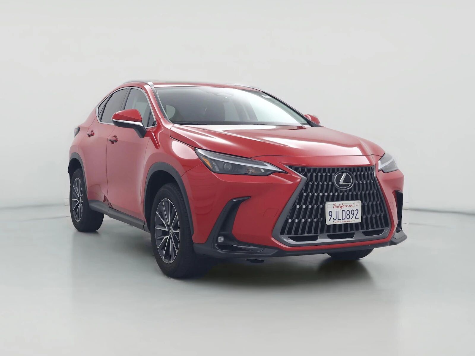 2024 LEXUS NX
