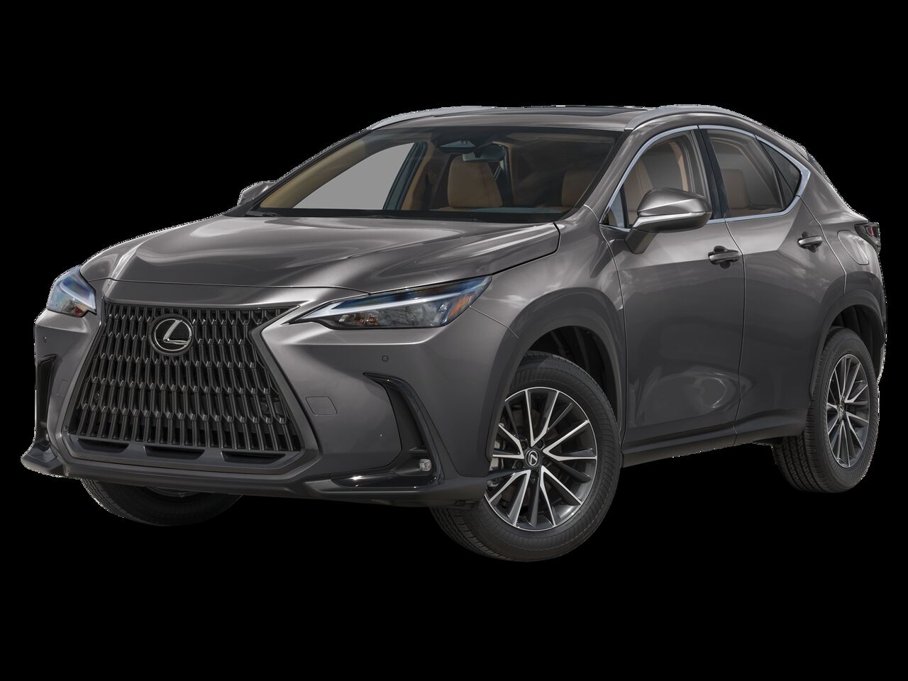 2025 LEXUS NX
