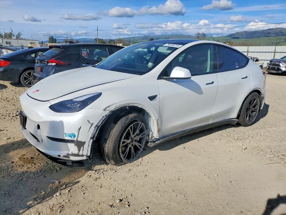 2025 TESLA Model Y