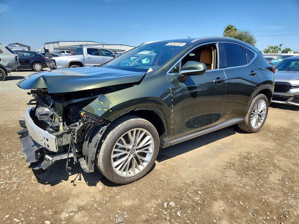 2025 LEXUS NX