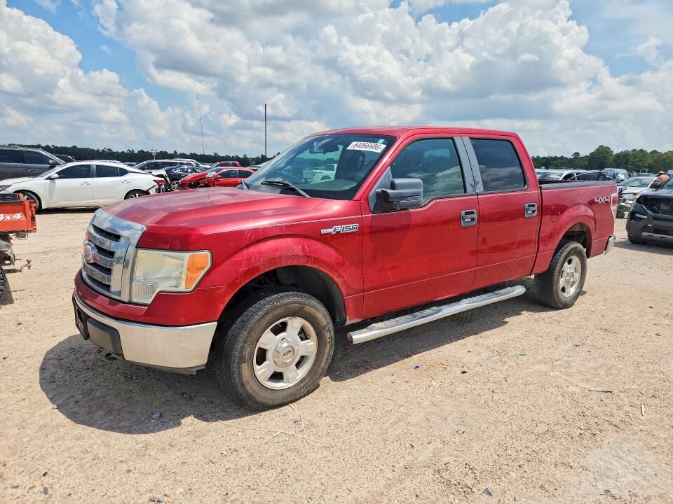 2009 FORD F-150
