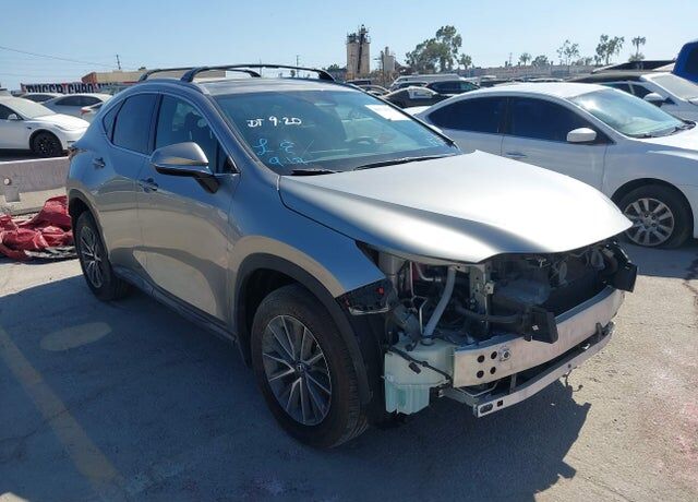 2024 LEXUS NX