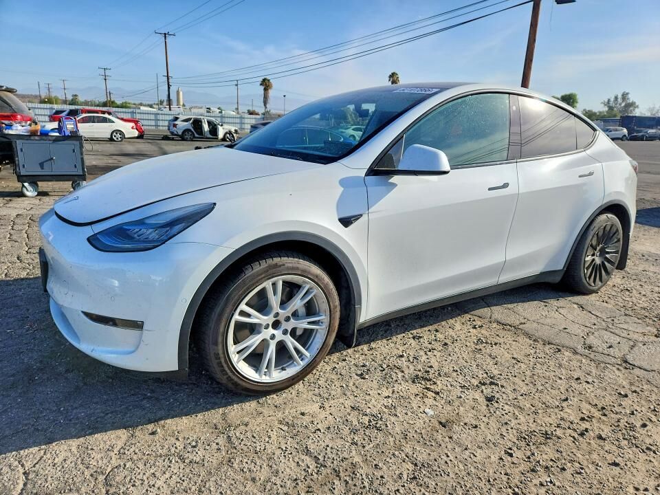 2021 TESLA Model Y