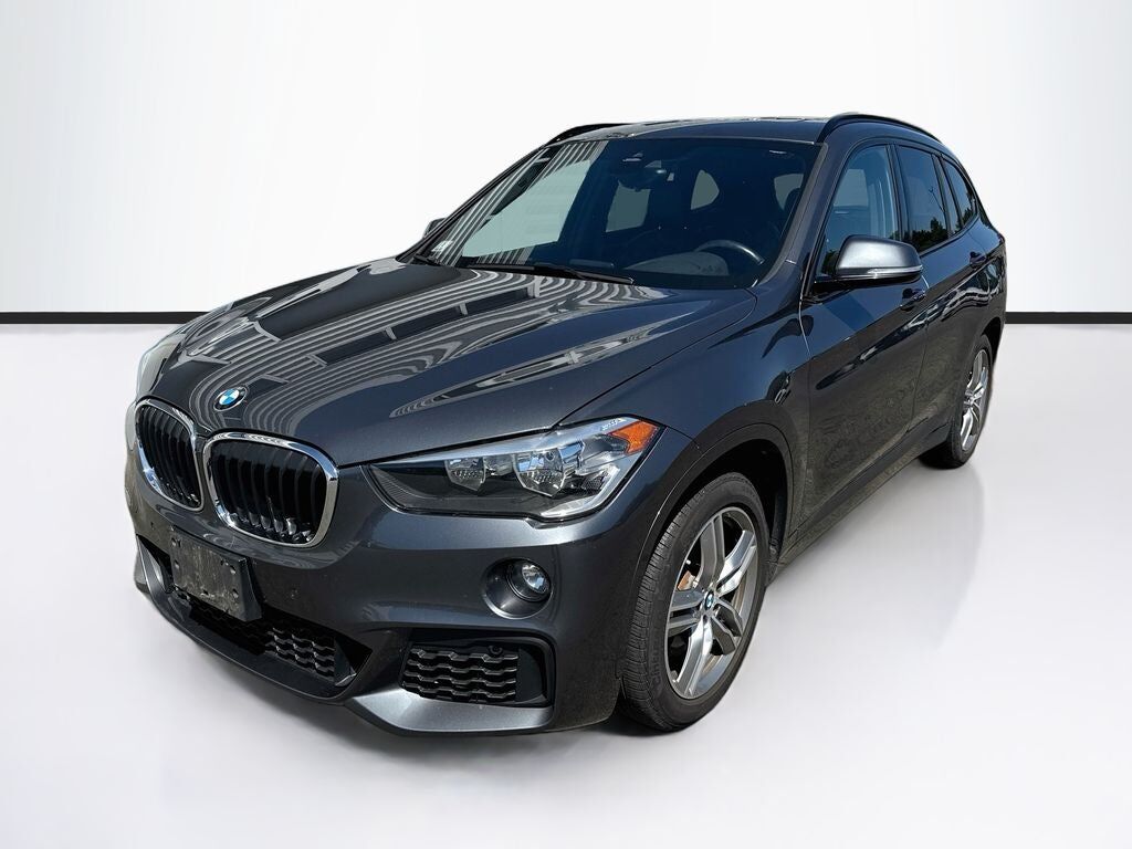 2019 BMW X1