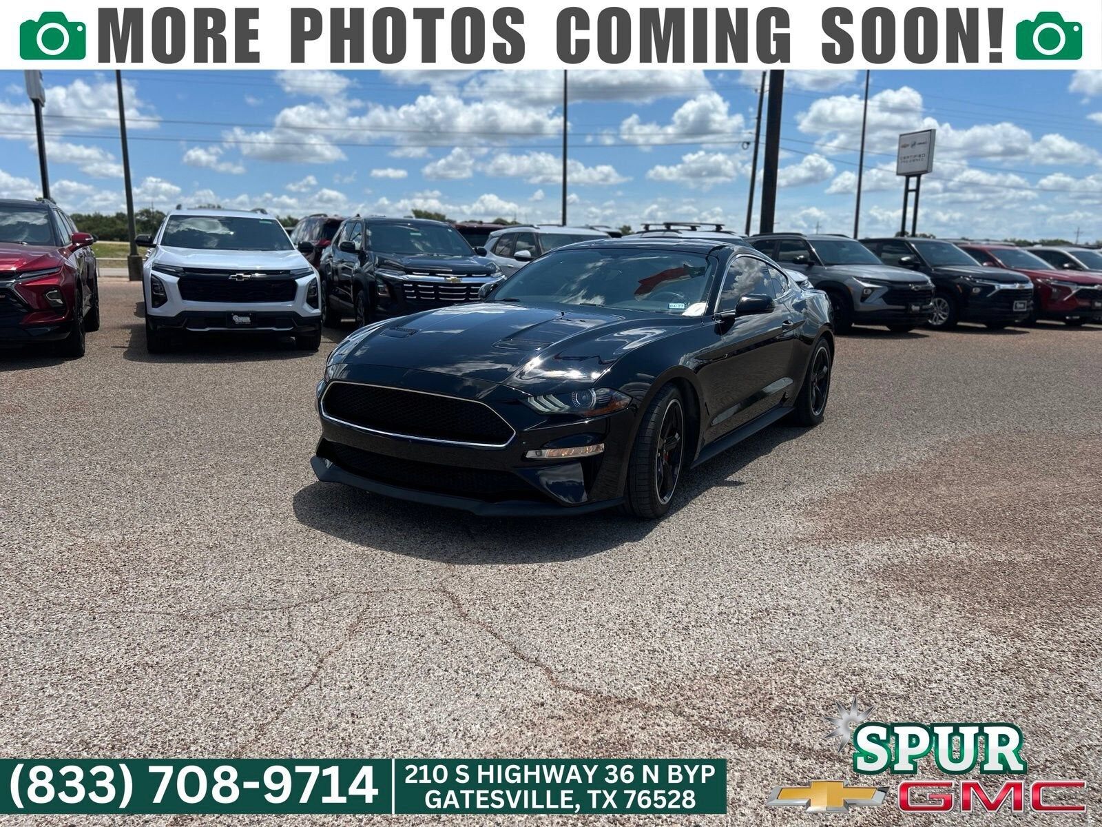 2019 FORD Mustang