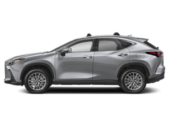2024 LEXUS NX