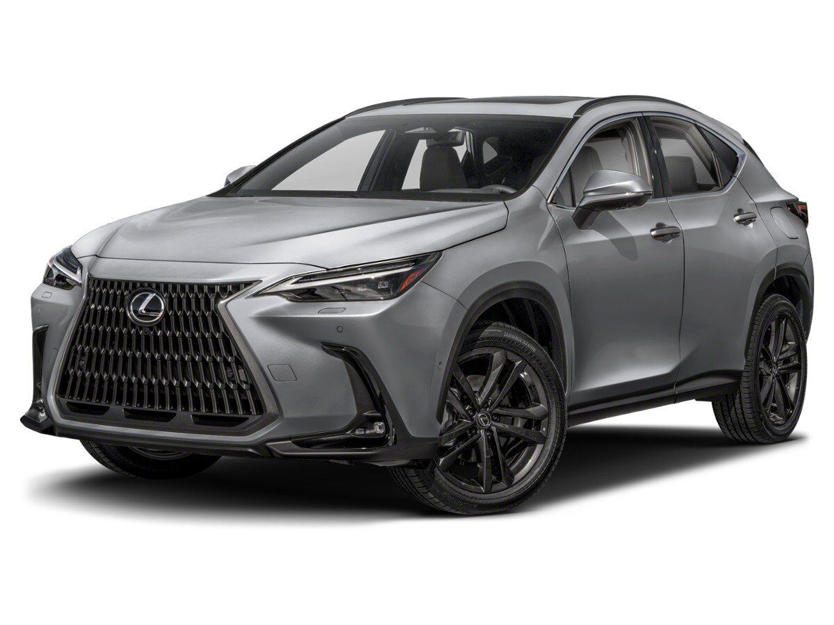 2024 LEXUS NX