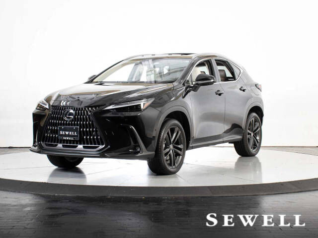 2025 LEXUS NX