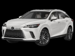 2024 LEXUS RX