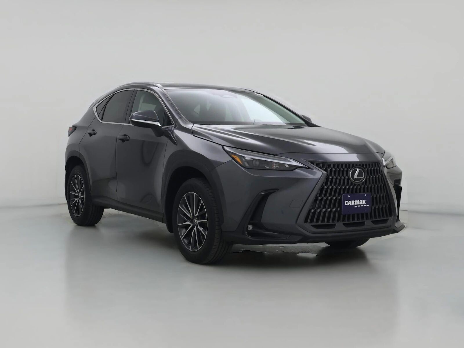 2024 LEXUS NX