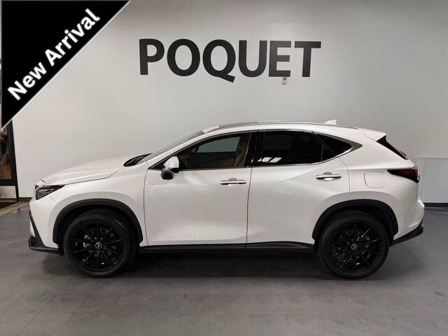 2025 LEXUS NX