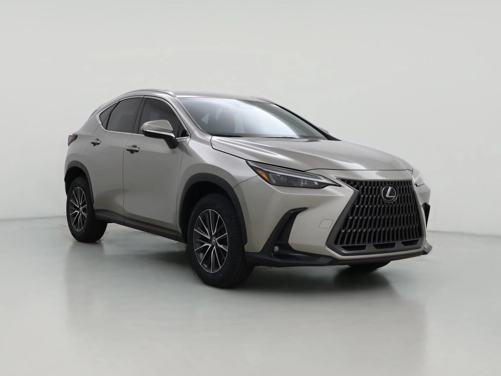 2024 LEXUS NX
