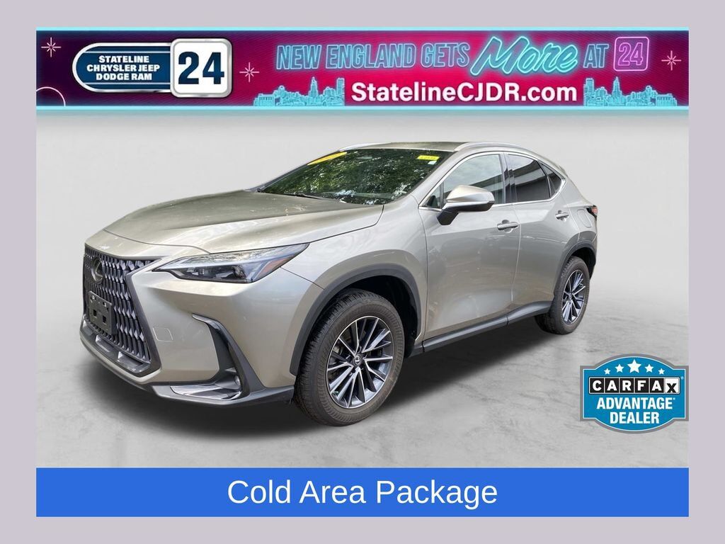 2022 LEXUS NX