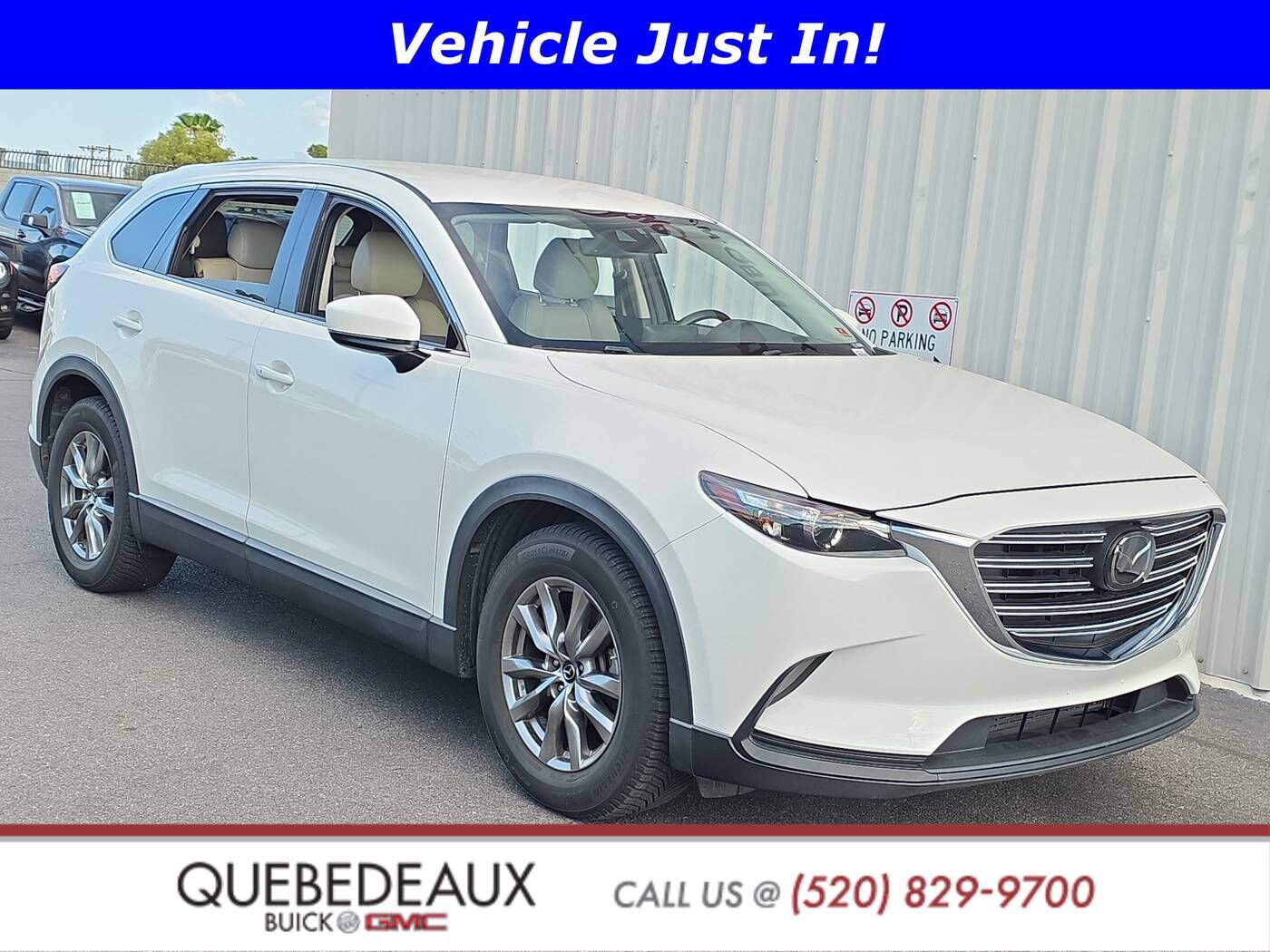 2019 MAZDA CX-9