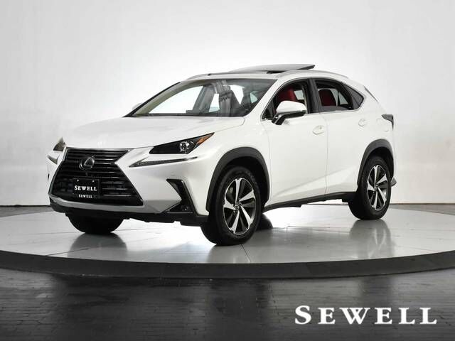 2019 LEXUS NX