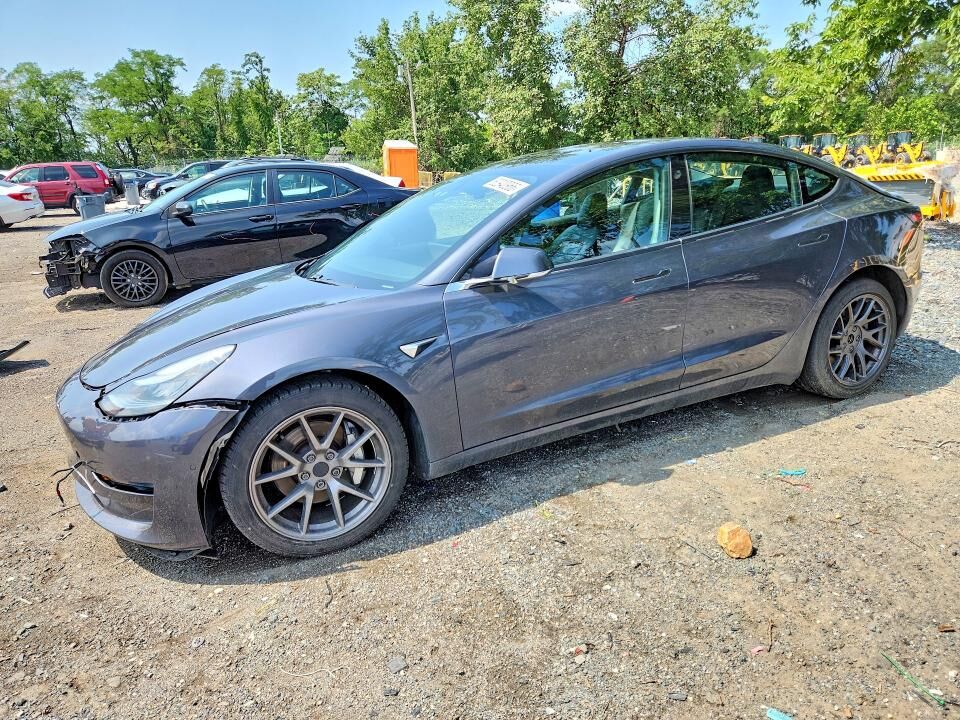 2019 TESLA Model 3