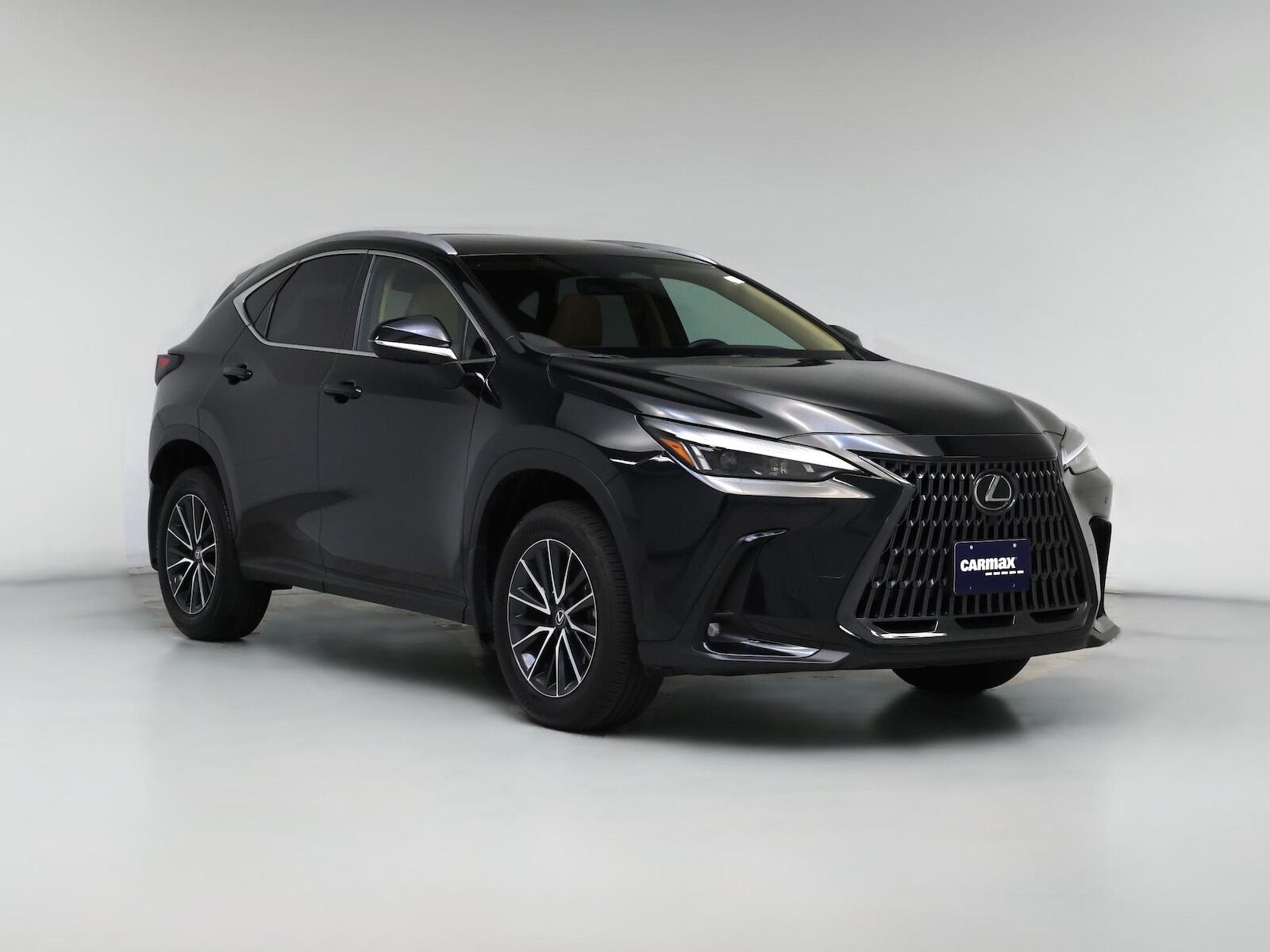 2024 LEXUS NX