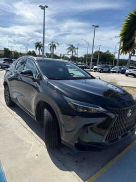 2025 LEXUS NX