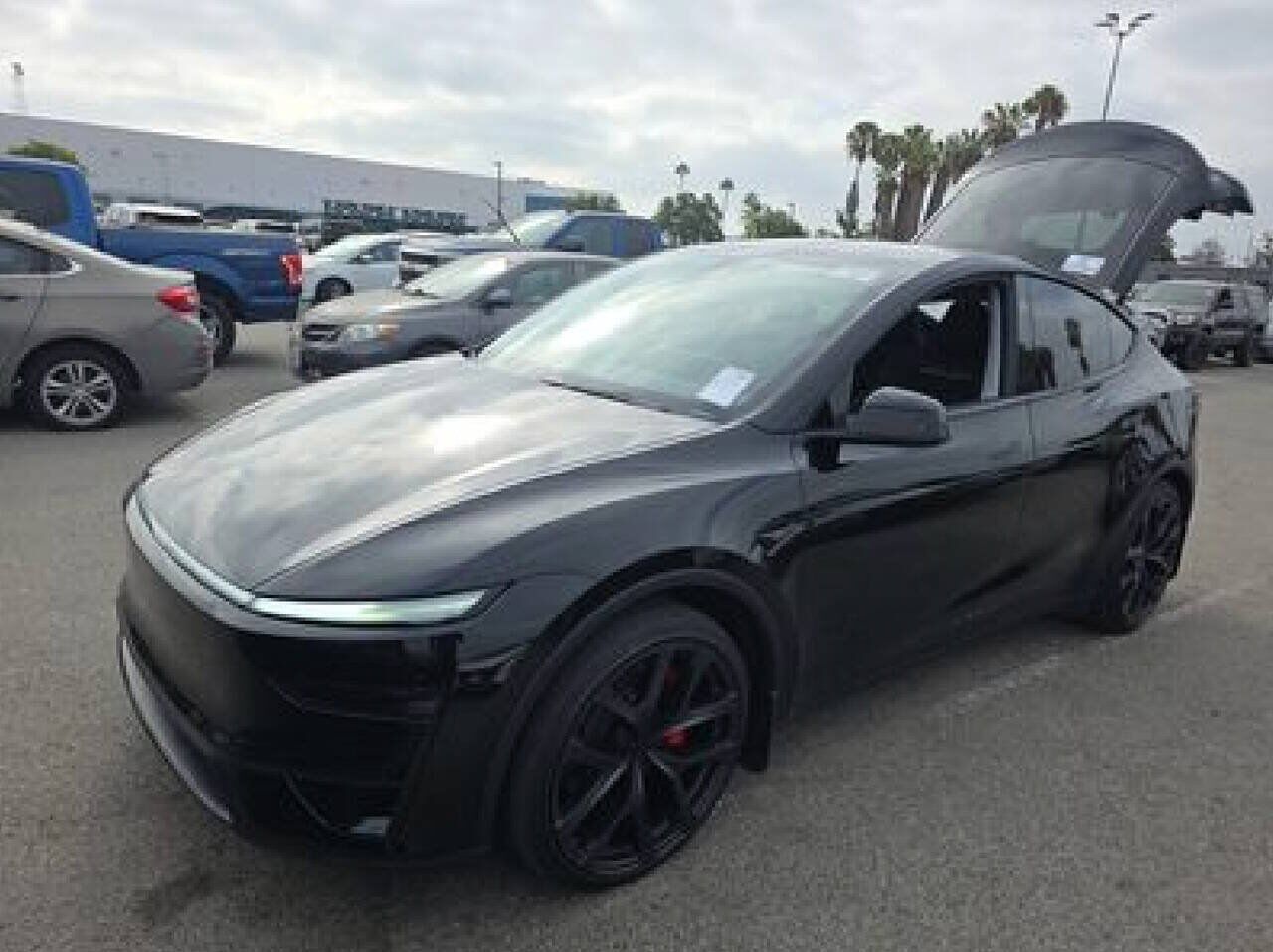 2026 TESLA Model Y