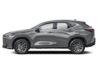 2025 LEXUS NX