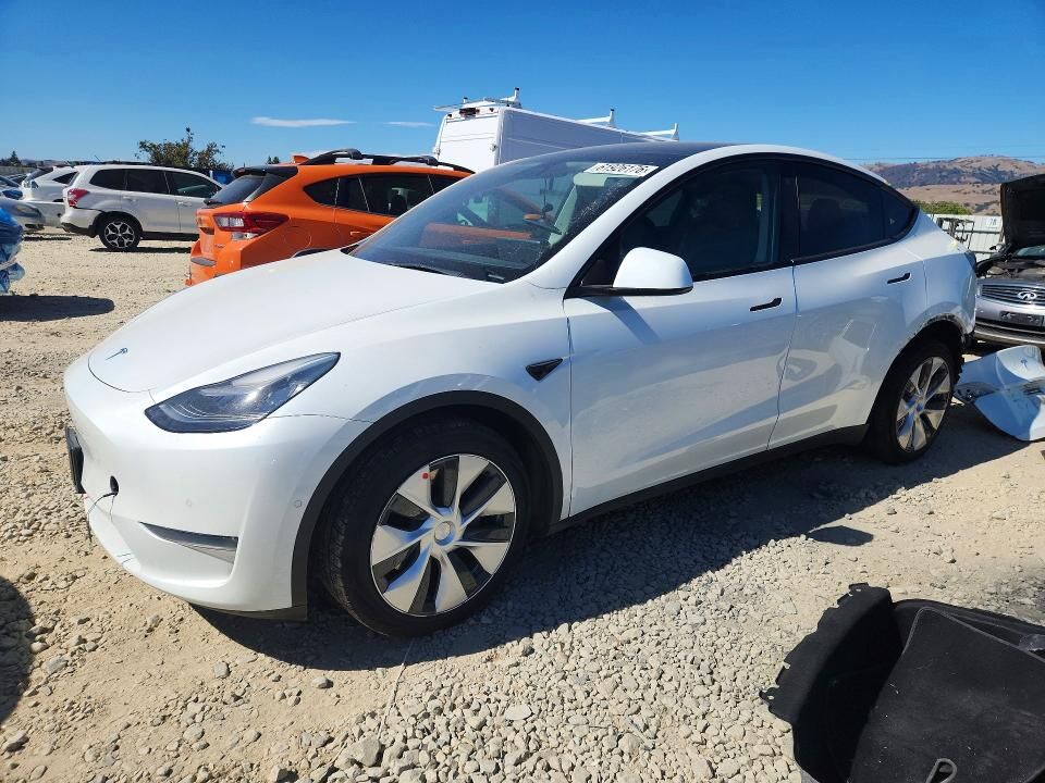 2021 TESLA Model Y