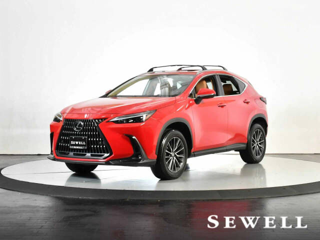 2024 LEXUS NX
