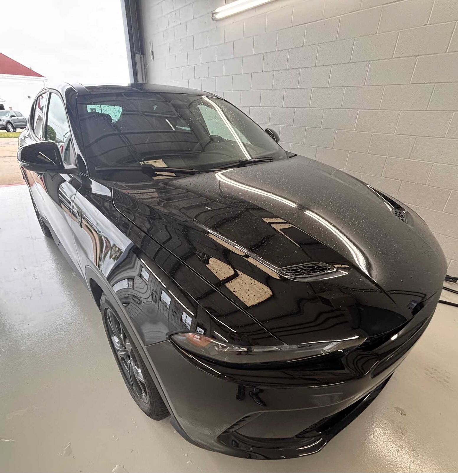 2025 DODGE HORNET