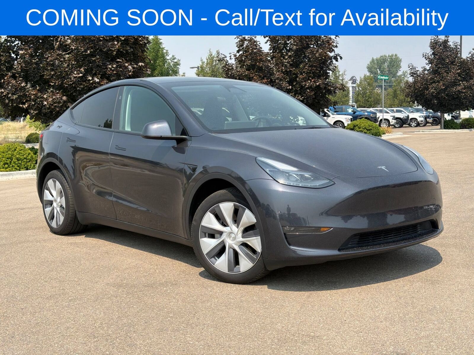 2024 TESLA Model Y
