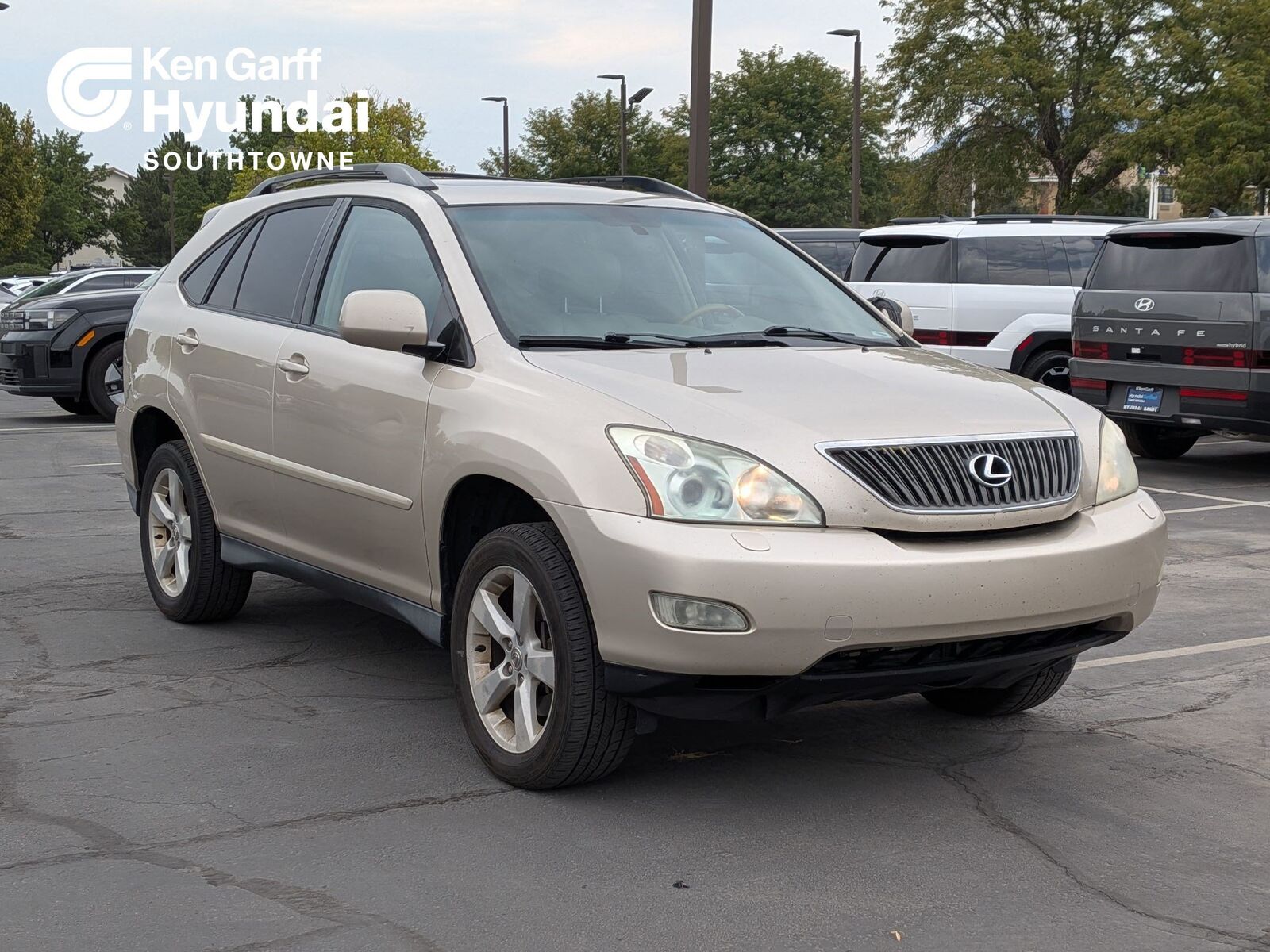 2006 LEXUS RX