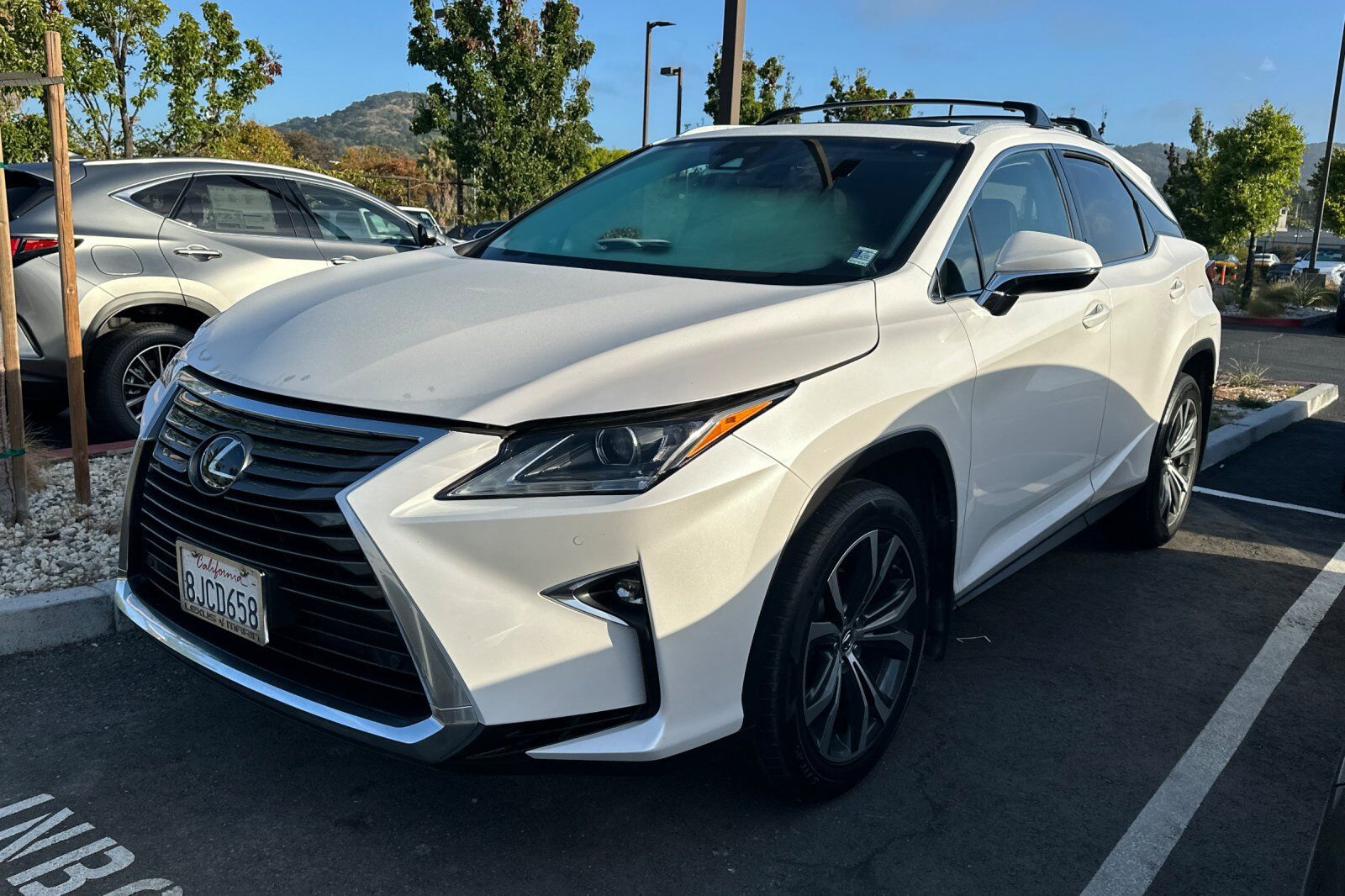 2019 LEXUS RX