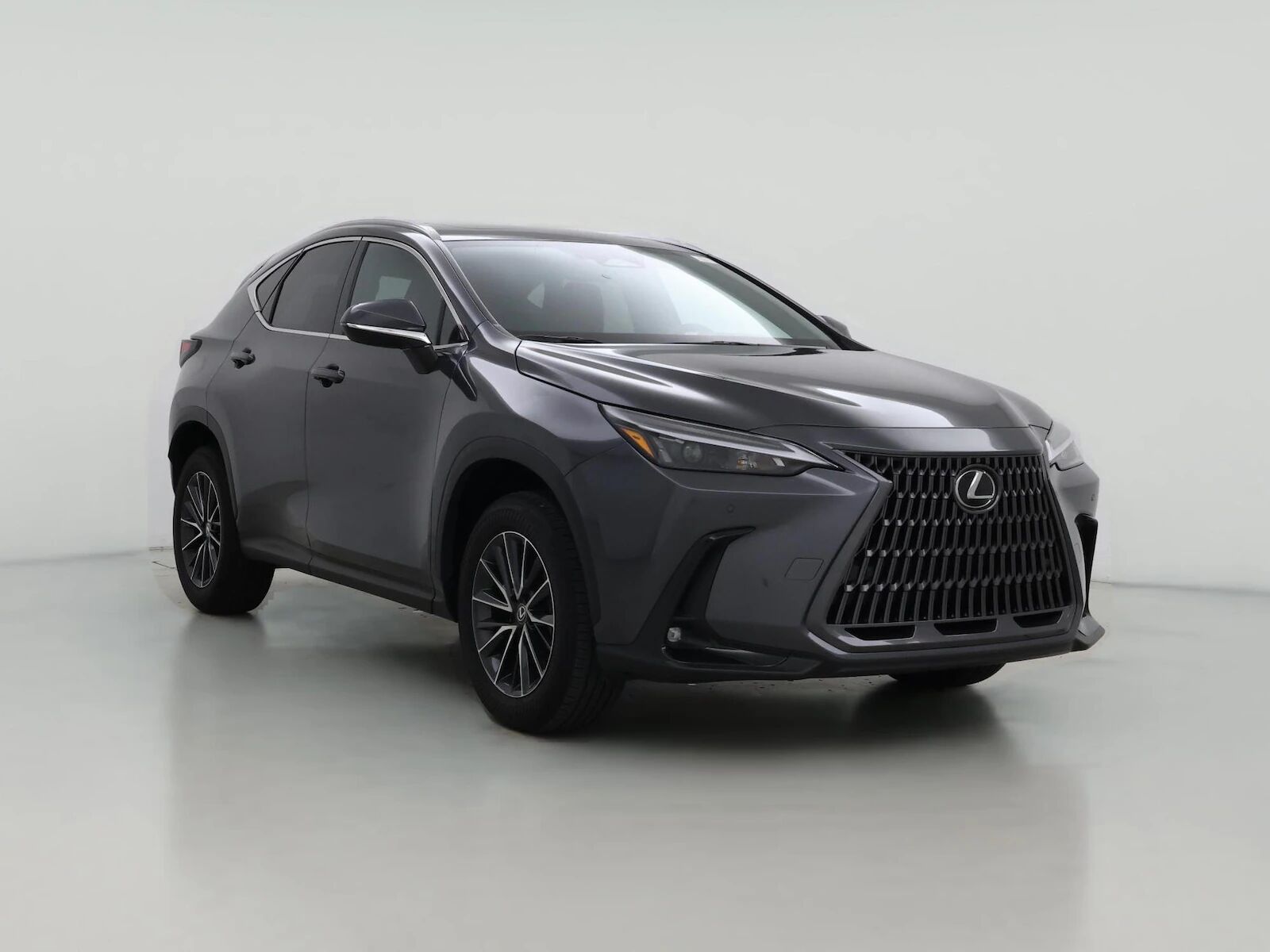 2024 LEXUS NX