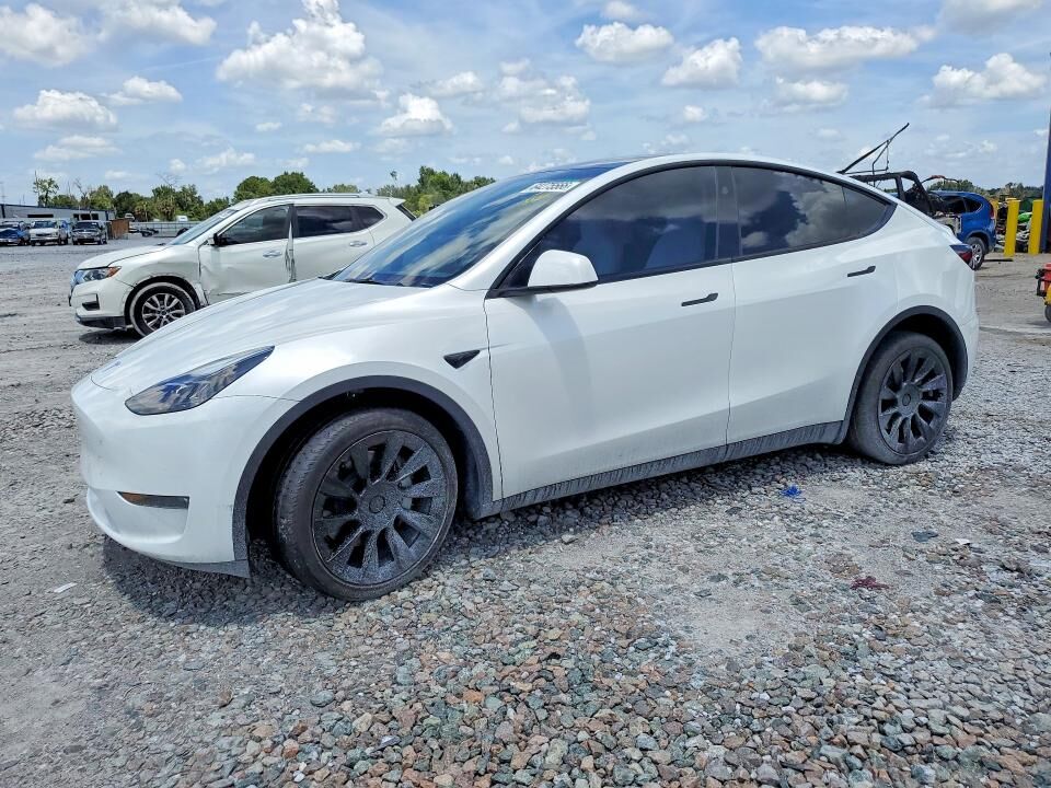 2024 TESLA Model Y