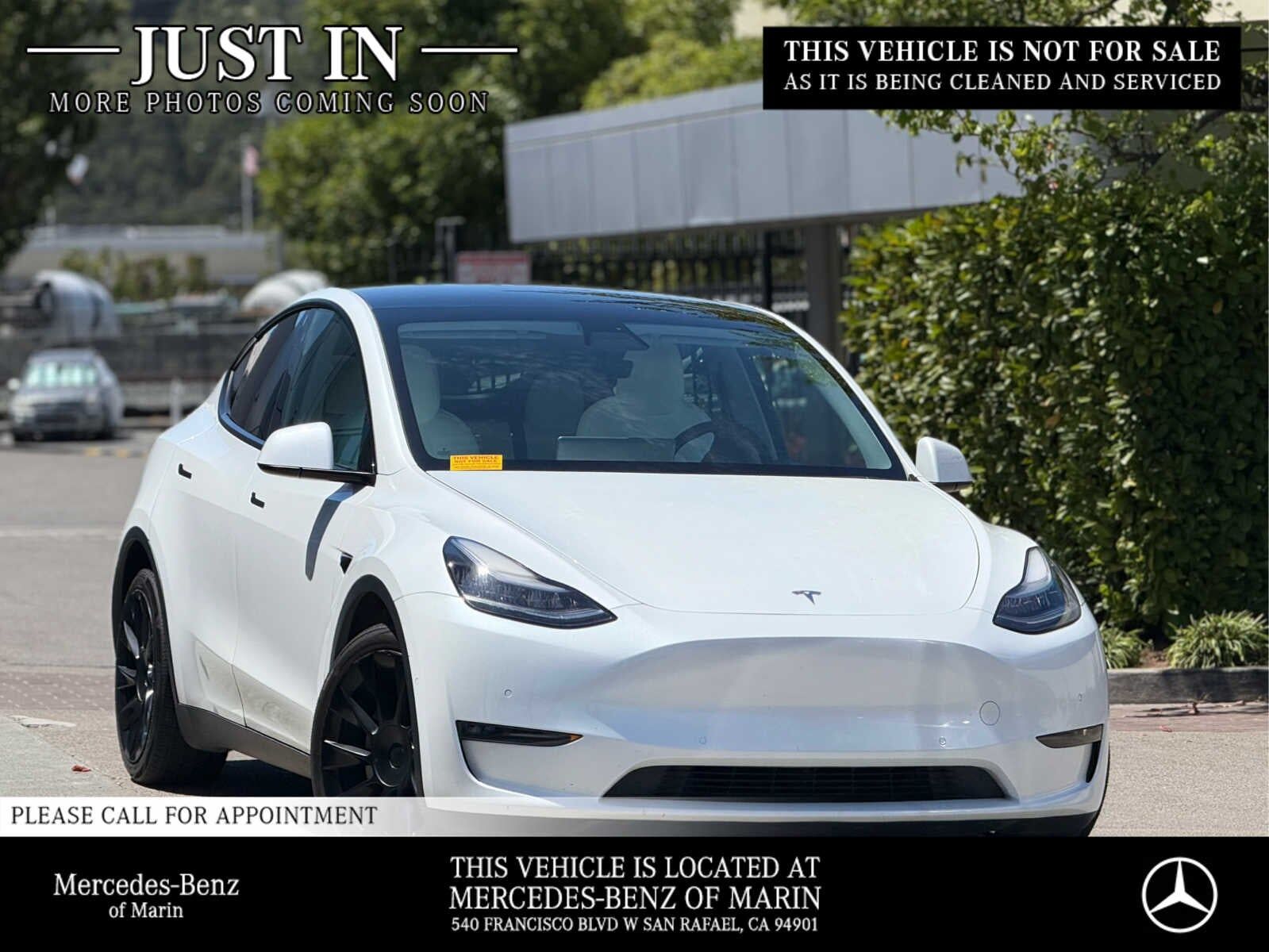 2021 TESLA Model Y